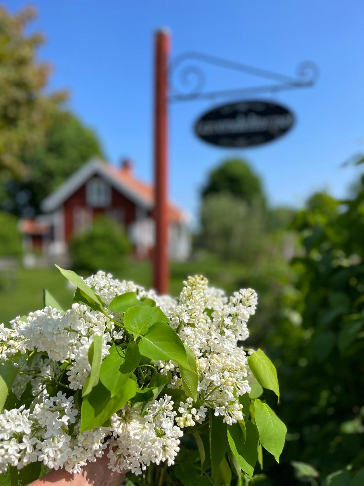 Bed and Breakfast Lavendeltorpet Haggum Zewnętrze zdjęcie